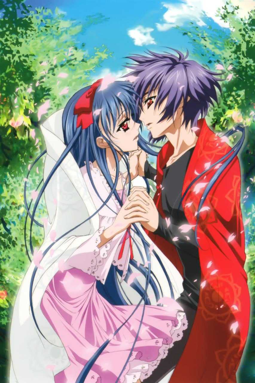 桃华月惮 (2007)  [DVDRip版]【8.1GB】