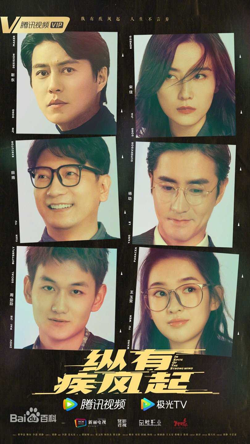 ?纵有疾风起?主演：靳东、宋佳、田雨、杨玏 惨遭女友背叛的男主二次创业 事业爱情双丰收 新剧首播?6集?