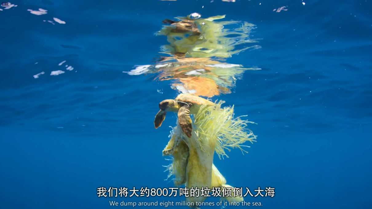 4K纪录片 绿色星球(第2季全6集)(105G)(中字)