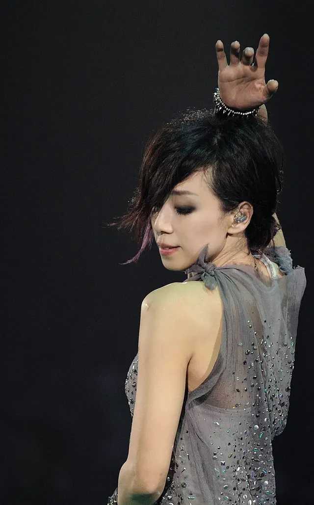 林忆莲 Sandy Lam Concert 2012 MMXI 香港演唱会 《BD 1080P》
