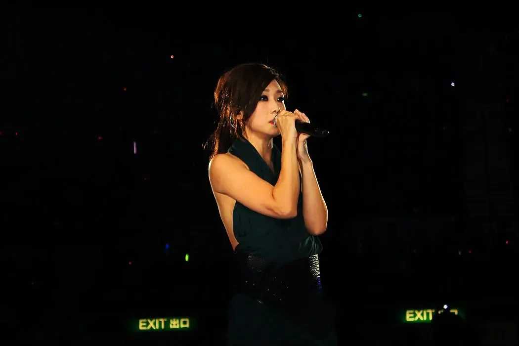 林忆莲 Sandy Lam Concert 2012 MMXI 香港演唱会 《BD 1080P》