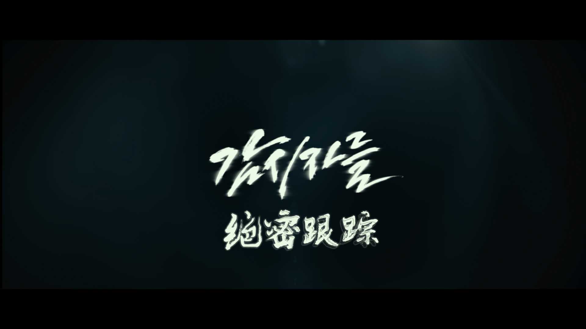《绝密跟踪》 1080p原盘REMUX 27.5Mb/s【中韩双语】【简繁 特效】【27.2GB】