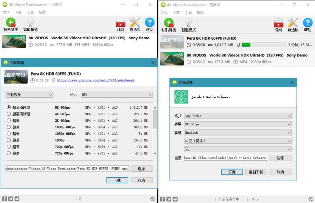 4K Video Downloader v4.32.0.0108/+1.8.0.0108 中文绿色便携版