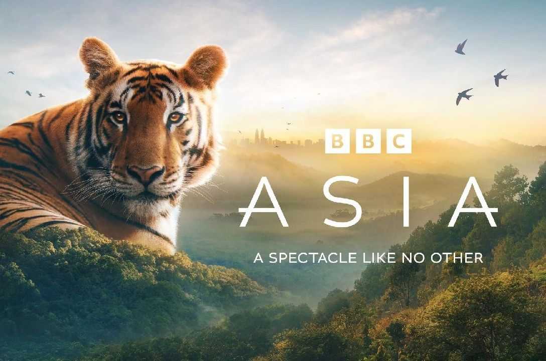 亚洲 Asia 4K国英双语(2024)  [英国 纪录片]  [大卫·爱登堡]