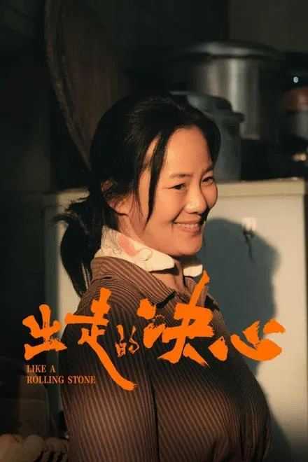 出走的决心 2024✨4K 60FPS HQ超高码 5.1DTS/杜比音效【帧享影音 23G】咏梅 / 姜武 豆瓣 9分