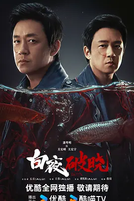 白夜破晓 又名：白夜追凶2【2024】4K 高码率 【包含第一季】【73.5GB]