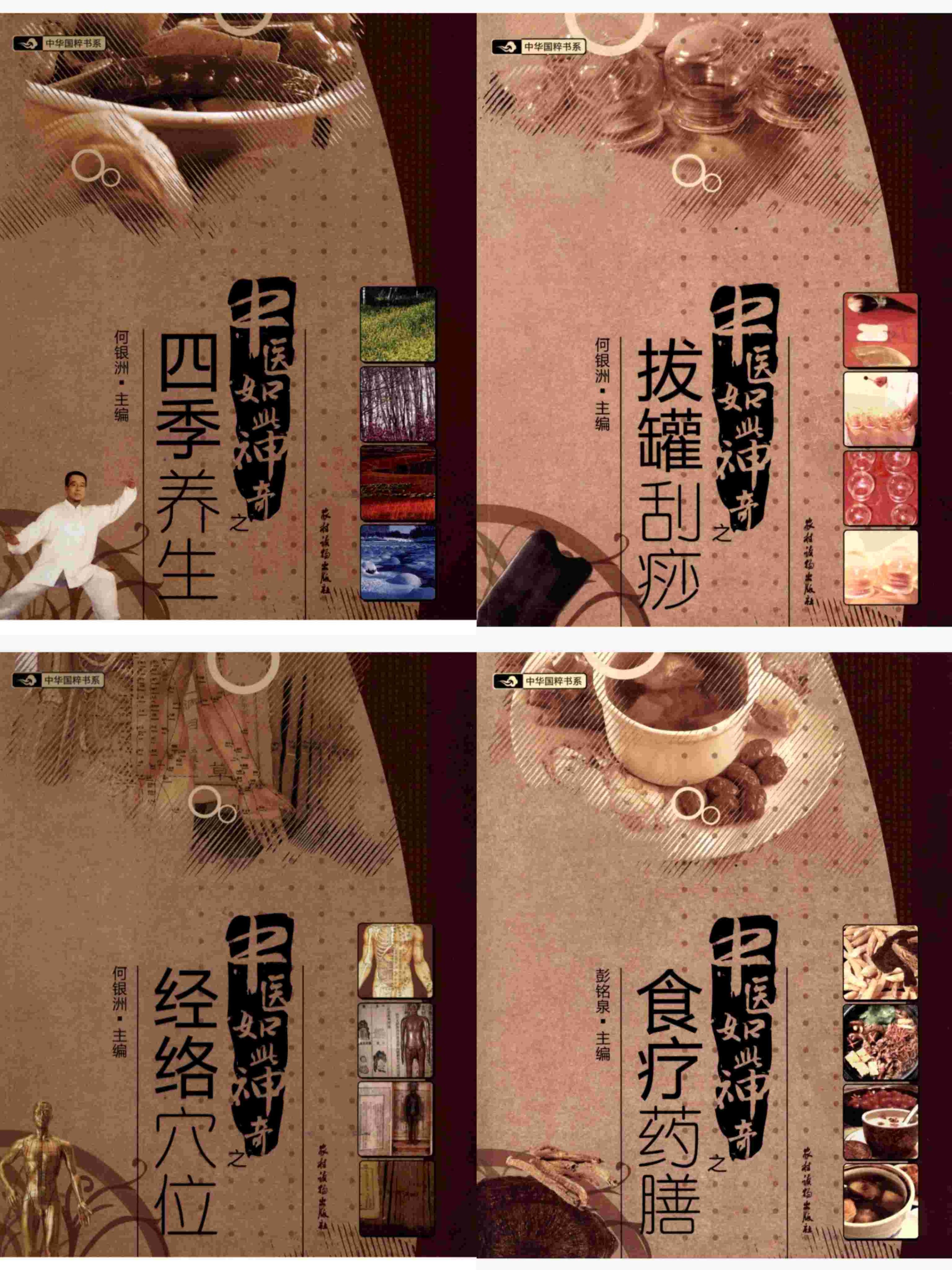 中医如此神奇系列书籍经典全集(高清珍藏版)PDF