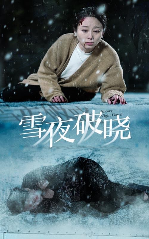 （短剧）雪夜破晓（36集）