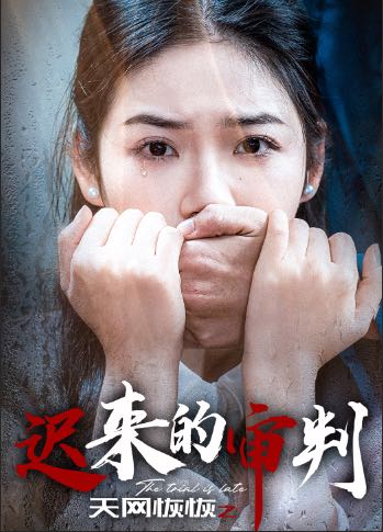 （短剧）天网恢恢之迟来的审判（31集）李艺璇