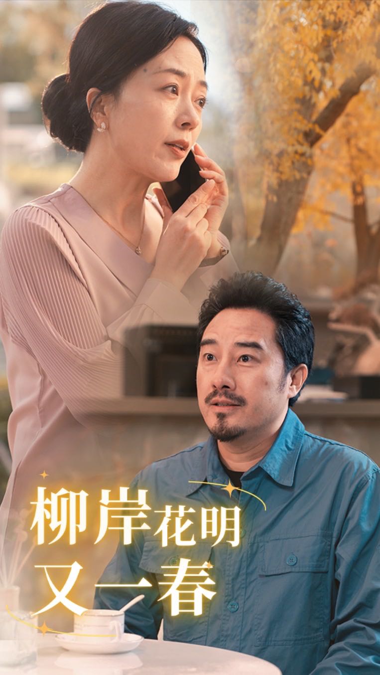 （短剧）柳暗花明又一春（40集）