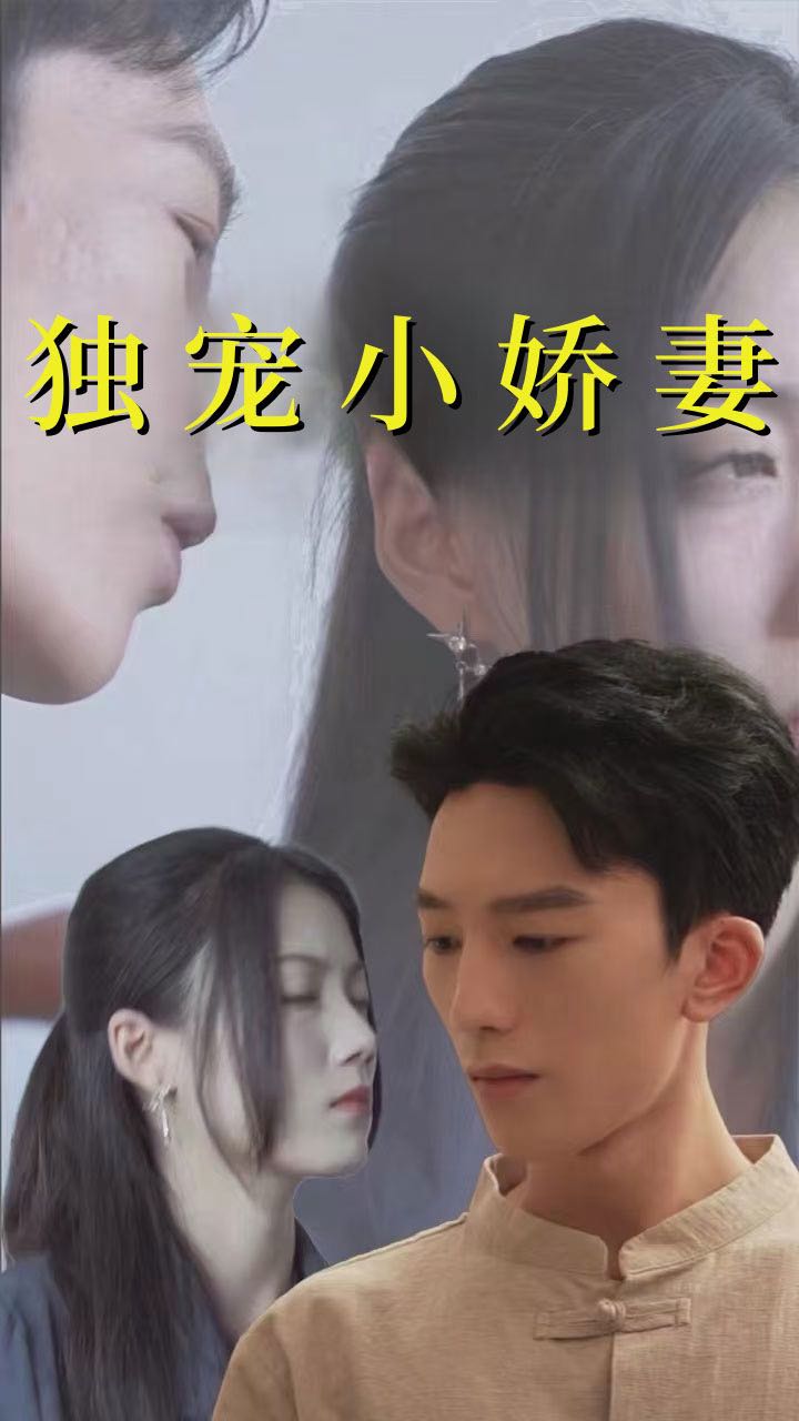 （短剧）独宠小娇妻（101集）