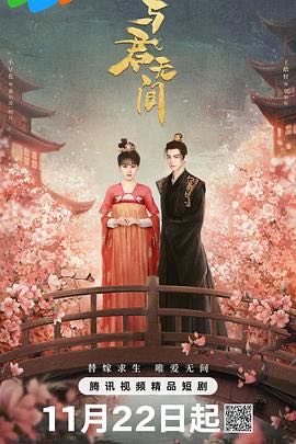 【短剧】与君无间（20集）